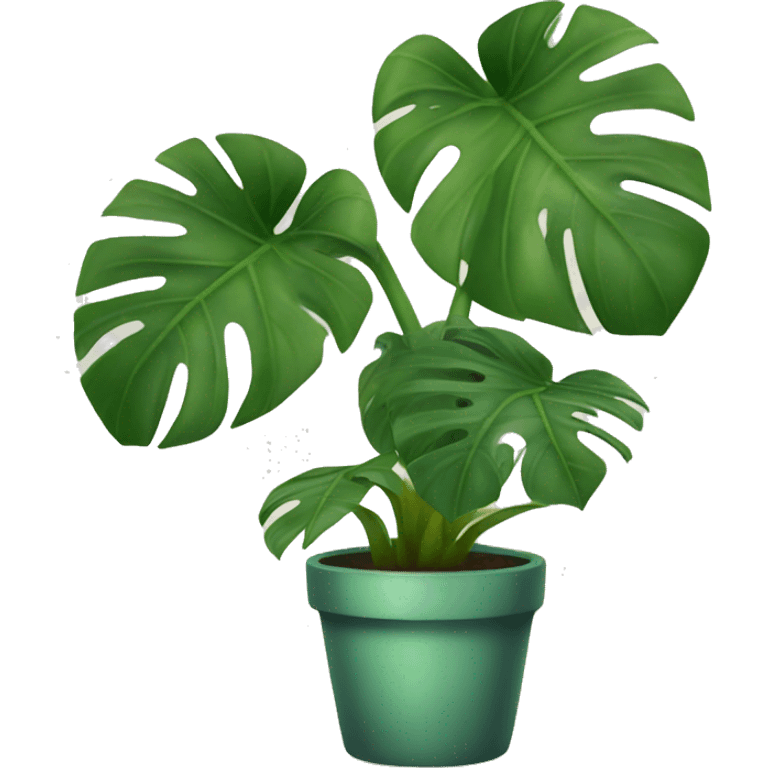 potted monstera plant emoji