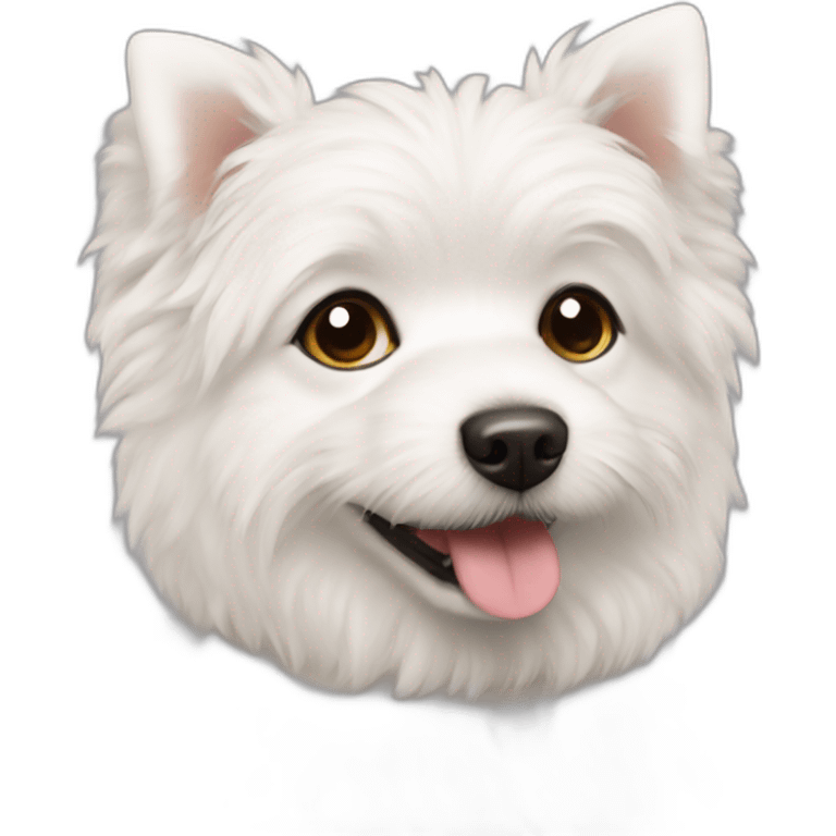 White spitz and maltipoo emoji