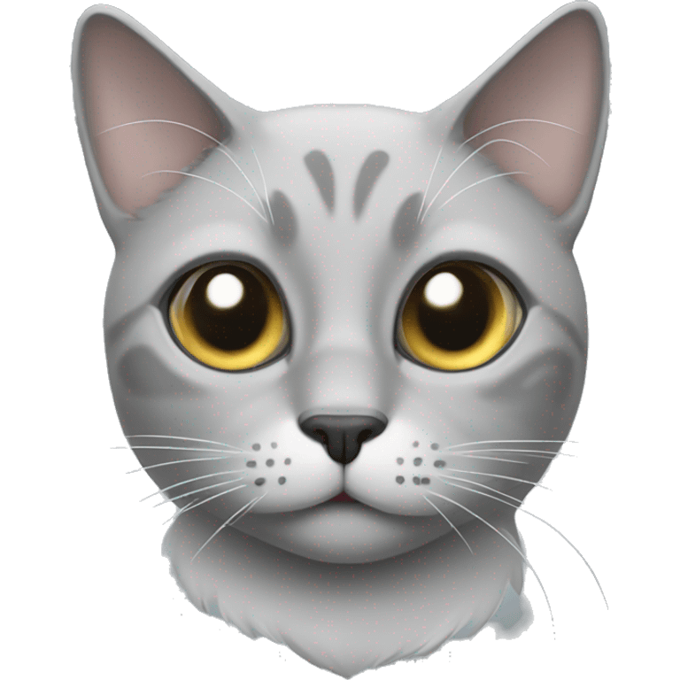 Grey cat with one eye white emoji