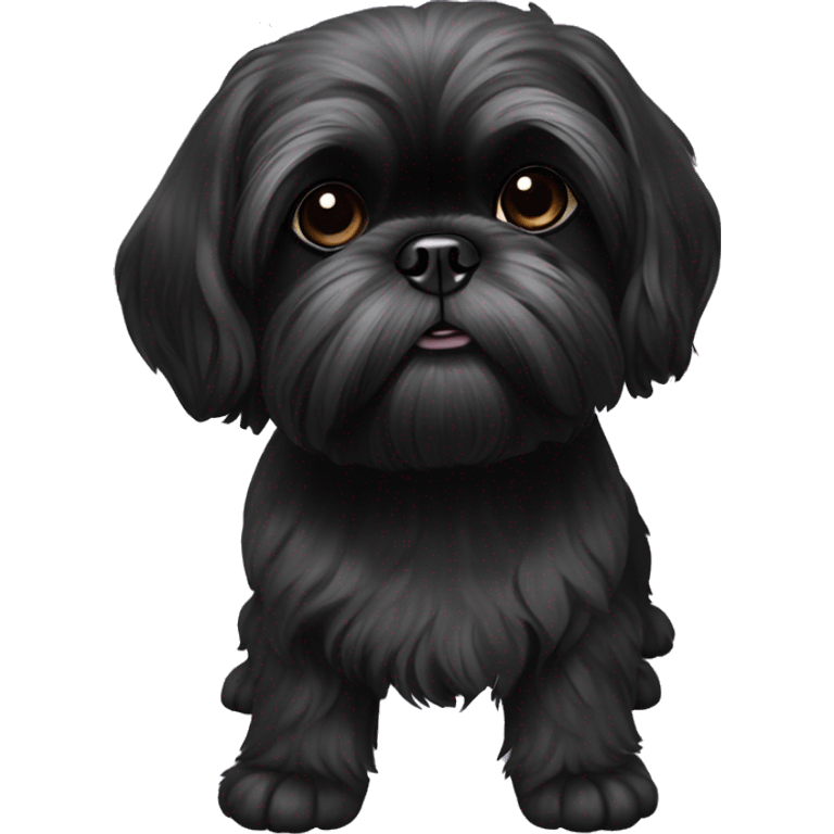 All Black shih tzu with paw up emoji