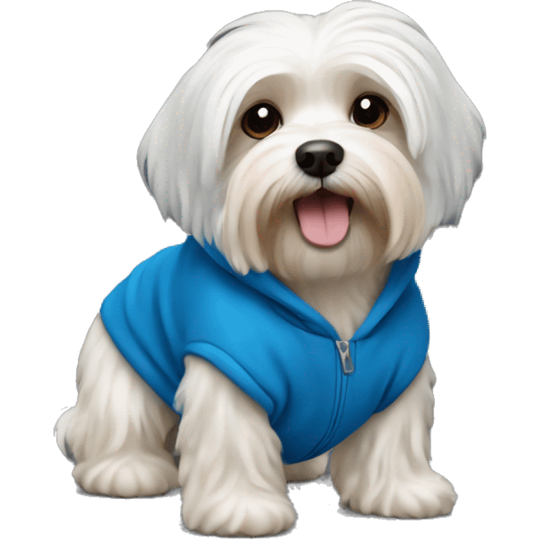 Havanese dog with a blue hoodie emoji