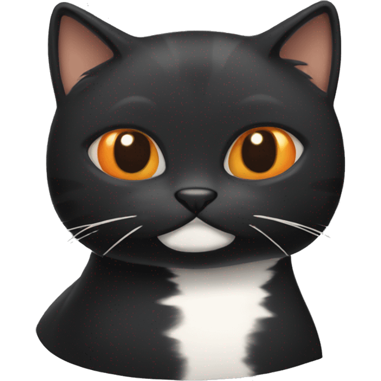 Puffy black cat with orange and white cat emoji