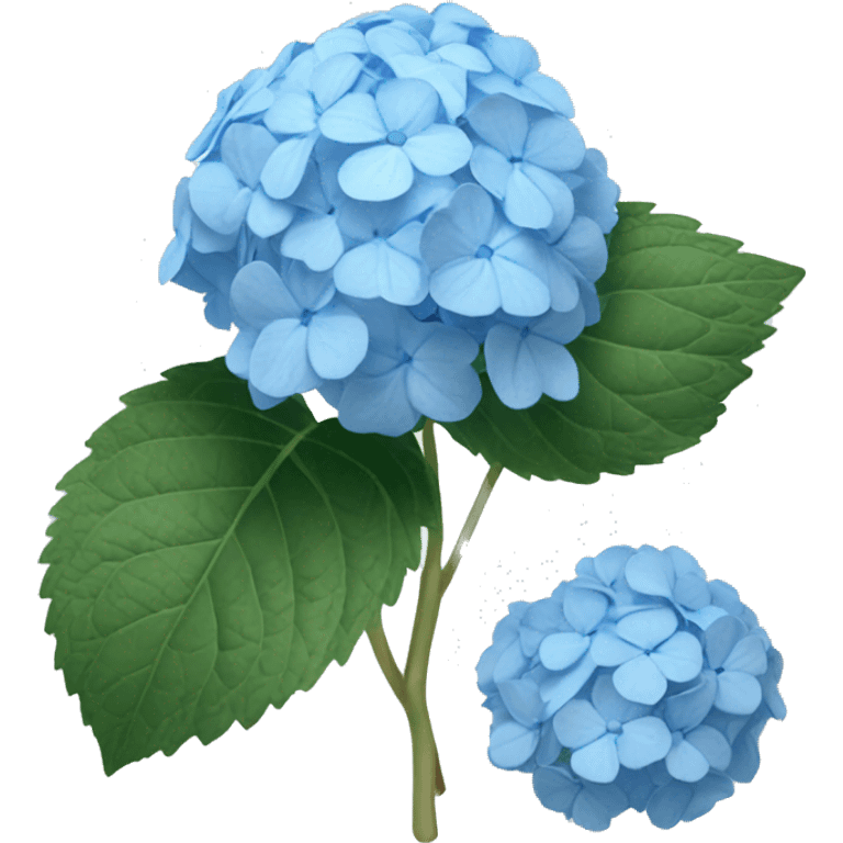 Light blue hydrangea emoji