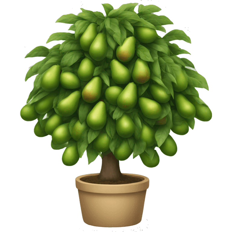 avocado tree  emoji