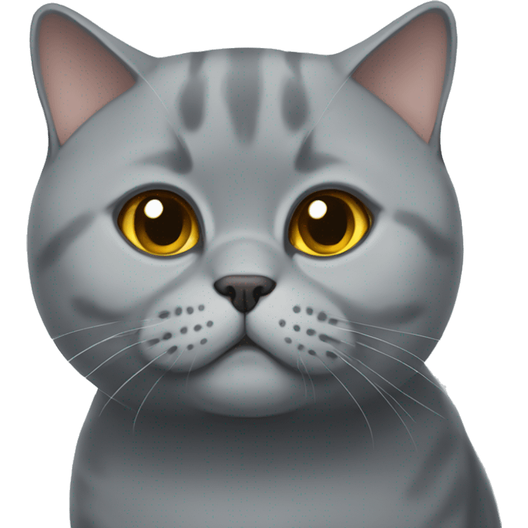 British shorthair  emoji