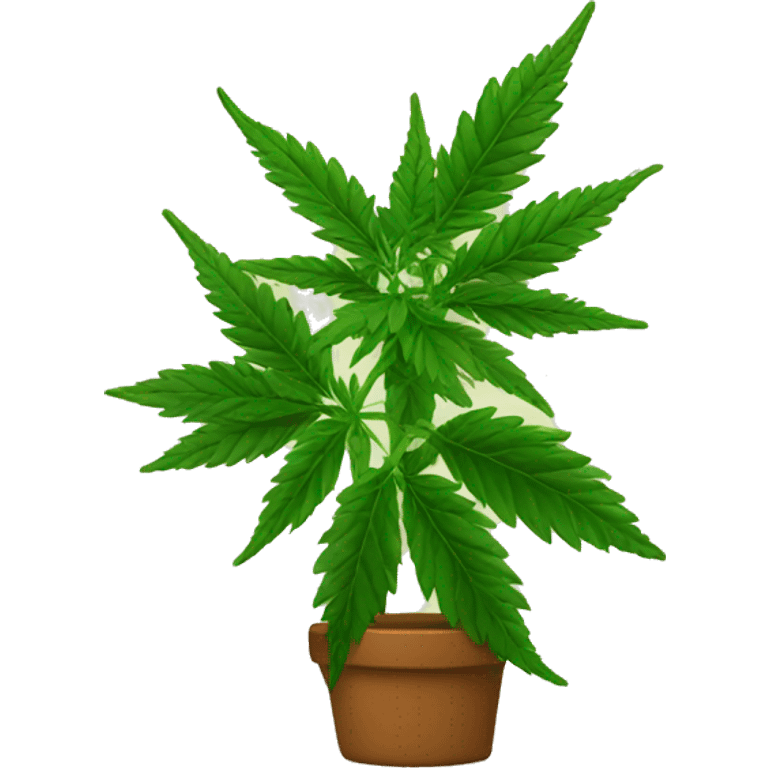 Marijuana plant emoji