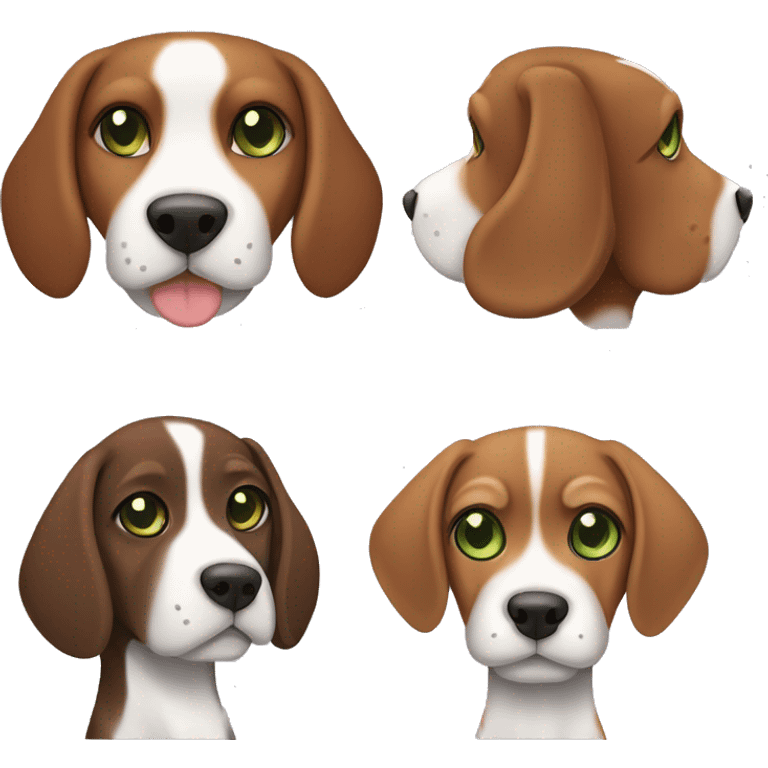 Dark brown tabby cat with brown-green eyes with a tricolor beagle emoji