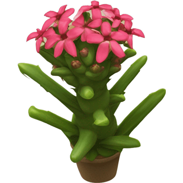 Crown of Thorns flower Euphorbia milii emoji