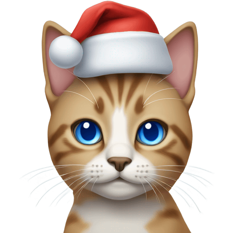 Cat with blue eyes wearing a Santa hat emoji