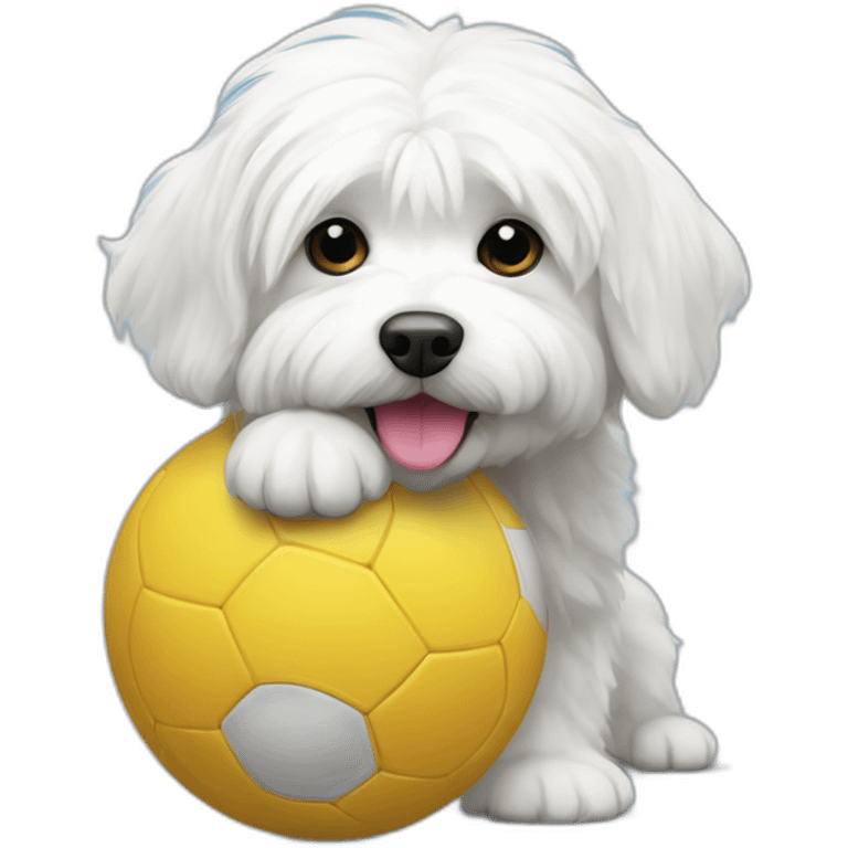 coton de tulear with a ball emoji