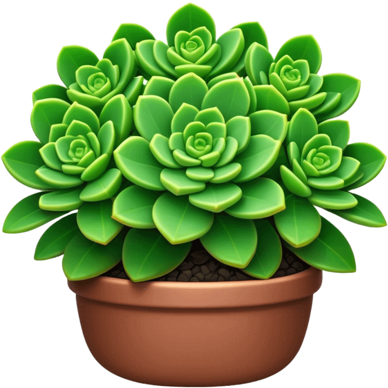 Cinematic Realistic Crassula Emoji, Compact and vibrant, with small, fleshy leaves arranged in thick, rounded clusters. The deep green hue of the leaves radiates calm, while their structured growth speaks of endurance. Soft glowing outline, capturing the essence of perseverance and tranquility in a crassula plant! emoji