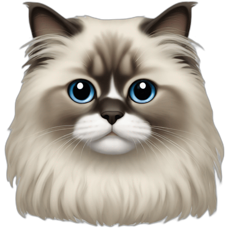 himalayan ragdoll emoji