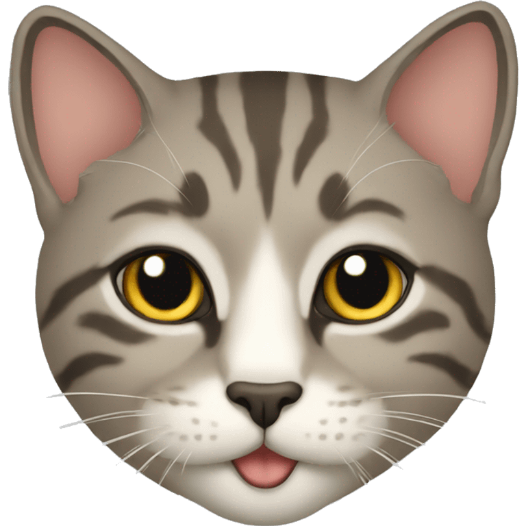 Gato emoji