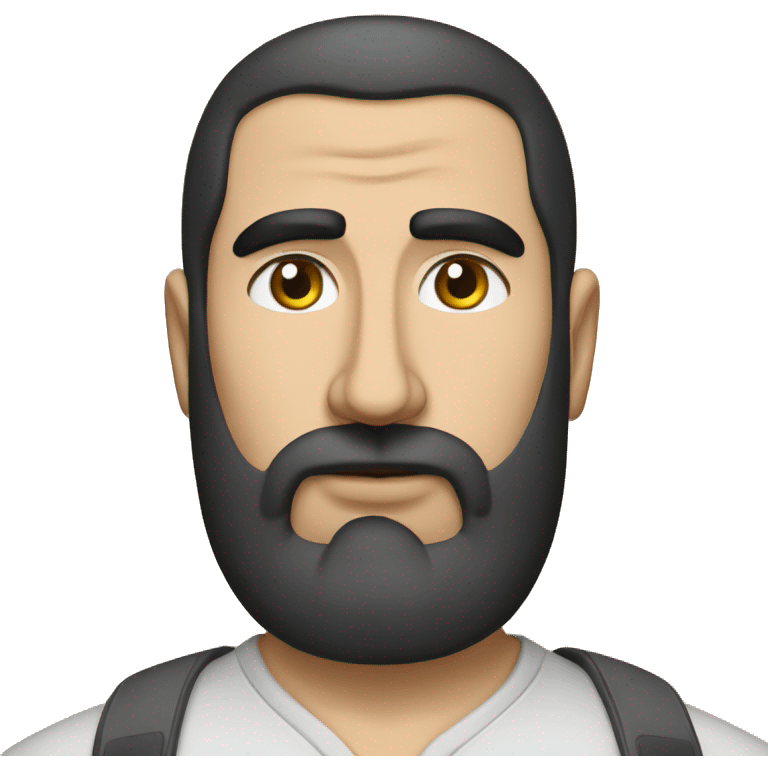 Arman tsarukyan emoji