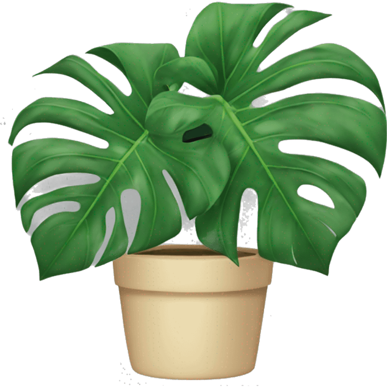 Monstera plant emoji