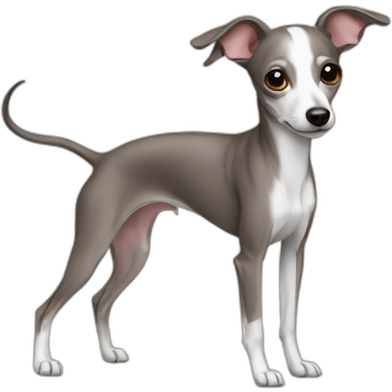 italian greyhound chihuahua emoji