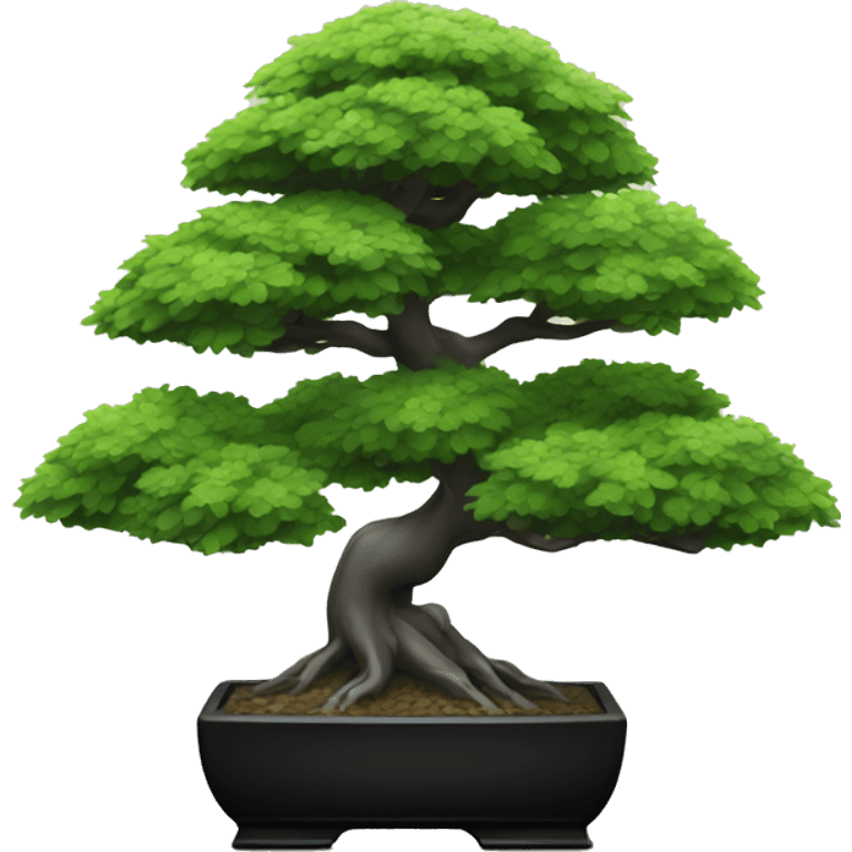 Bonsai tree in a black rectangular vase emoji