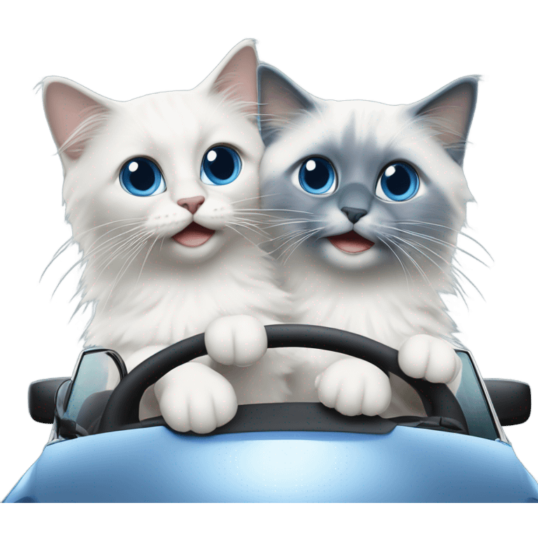 Two blue point ragdoll cats driving a car  emoji