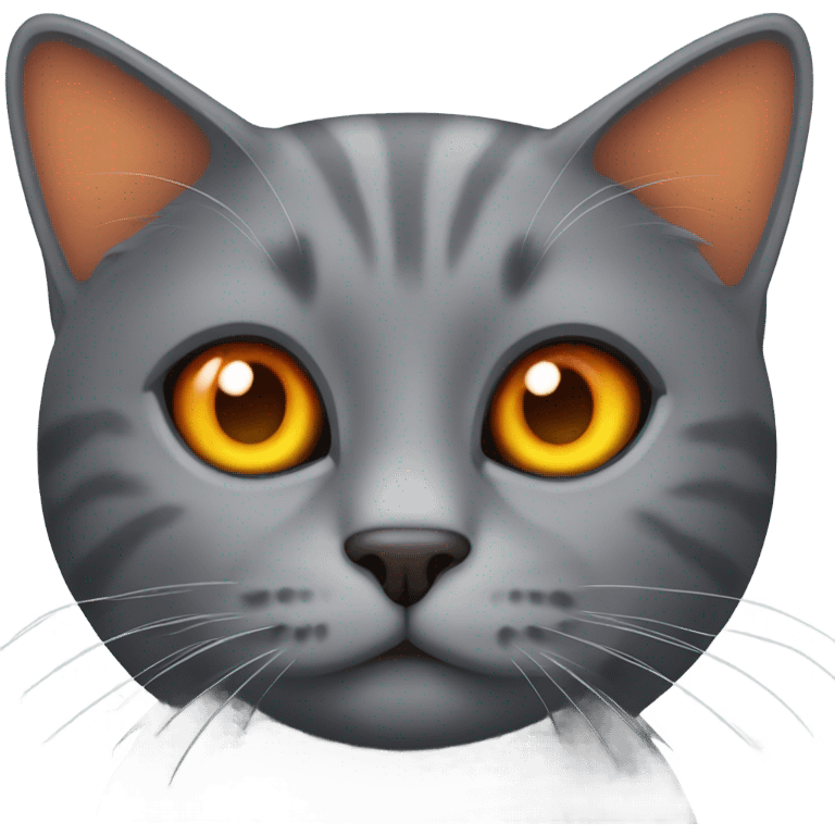 gray cat with orange eyes emoji