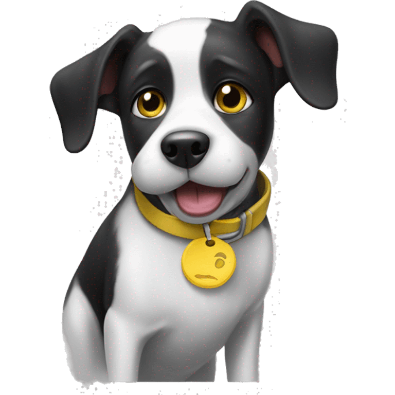 Black and white dog with one slightly floppy ear, and one year higher. She has a yellow collar with a round tag. Her mouth is closed. emoji