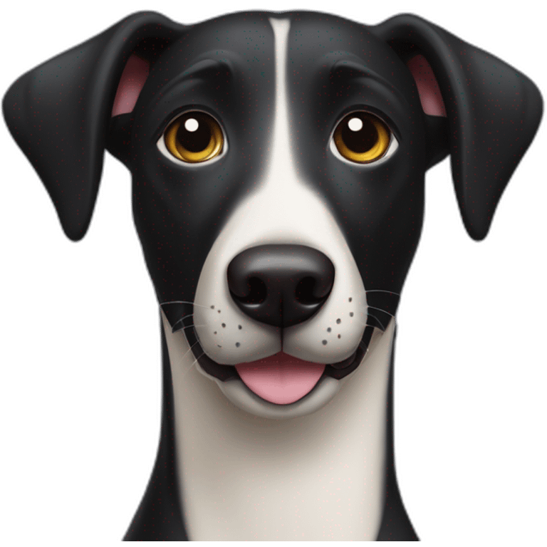 Black dog labrador whippet cross happy face one ear up emoji