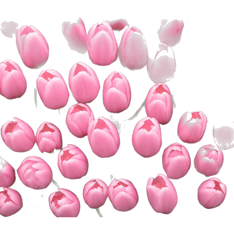 Baby pink tulips  emoji