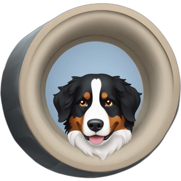 bernese mountain dog agility tunnel emoji