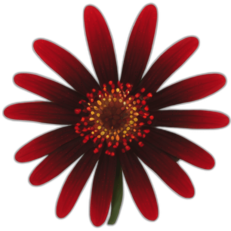 Red and black flower made of web emoji