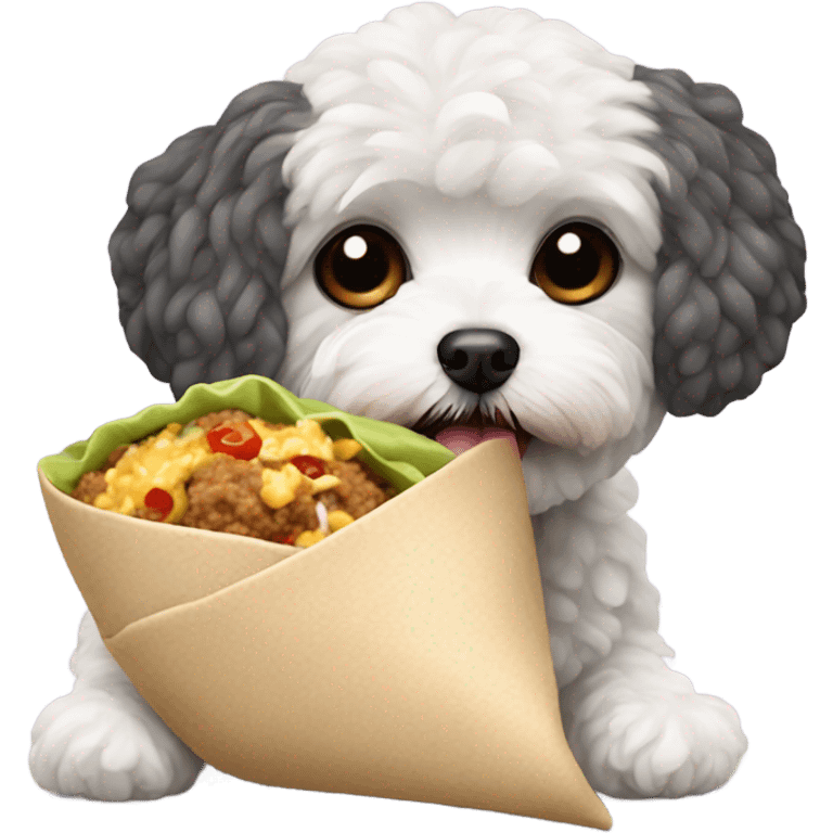 Maltipoo eating a burrito  emoji