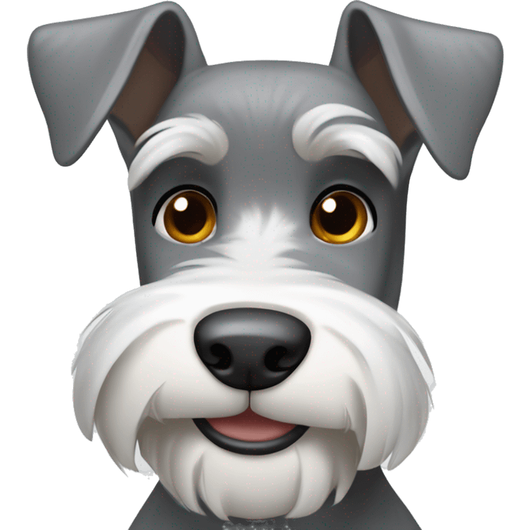 Grey and white schnauzer with brown eyes smiling    emoji