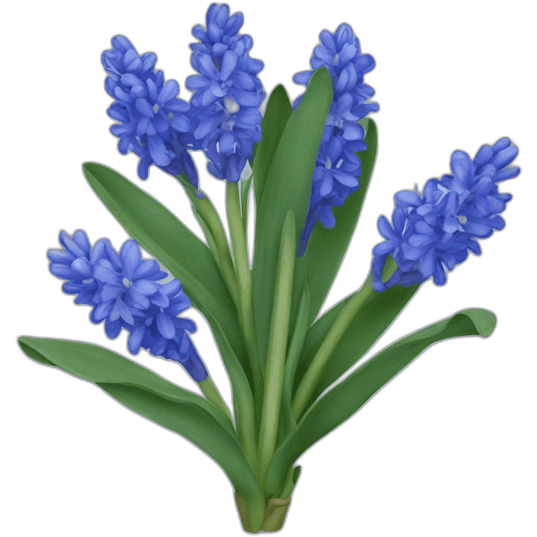 blue hyacinth emoji