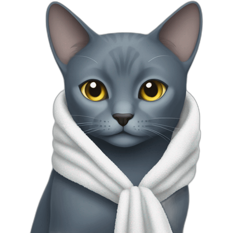 a darker russian blue cat walks hold a towel with his mouth emoji