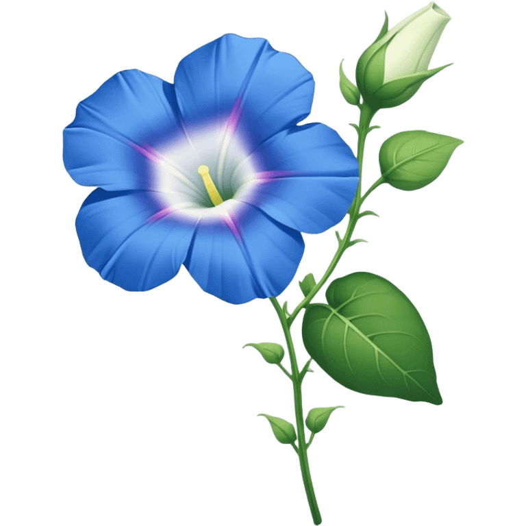 single blue Morning Glorysuper, stem emoji