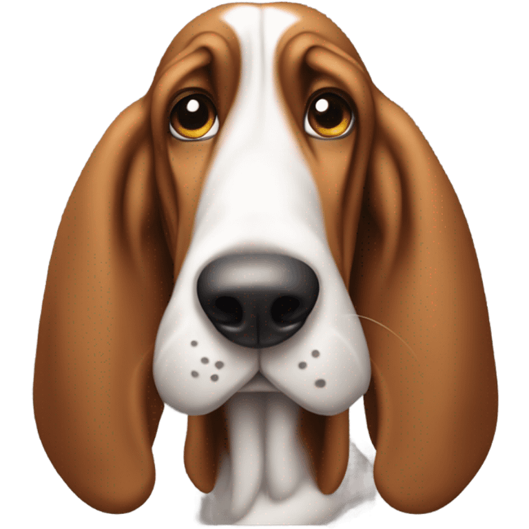 Basset hound that is stinky  emoji