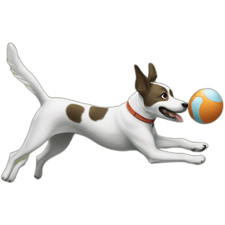 dog catching a frisbee emoji