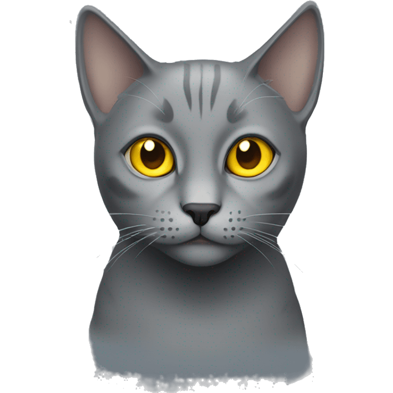 grey cat with yellow eyes  emoji