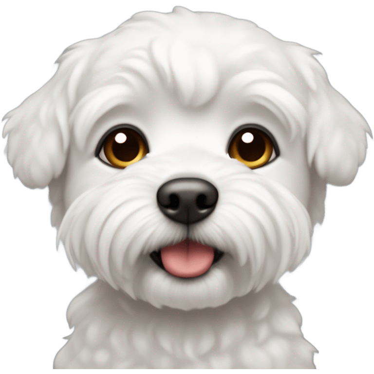 perro bichon maltés blanco emoji