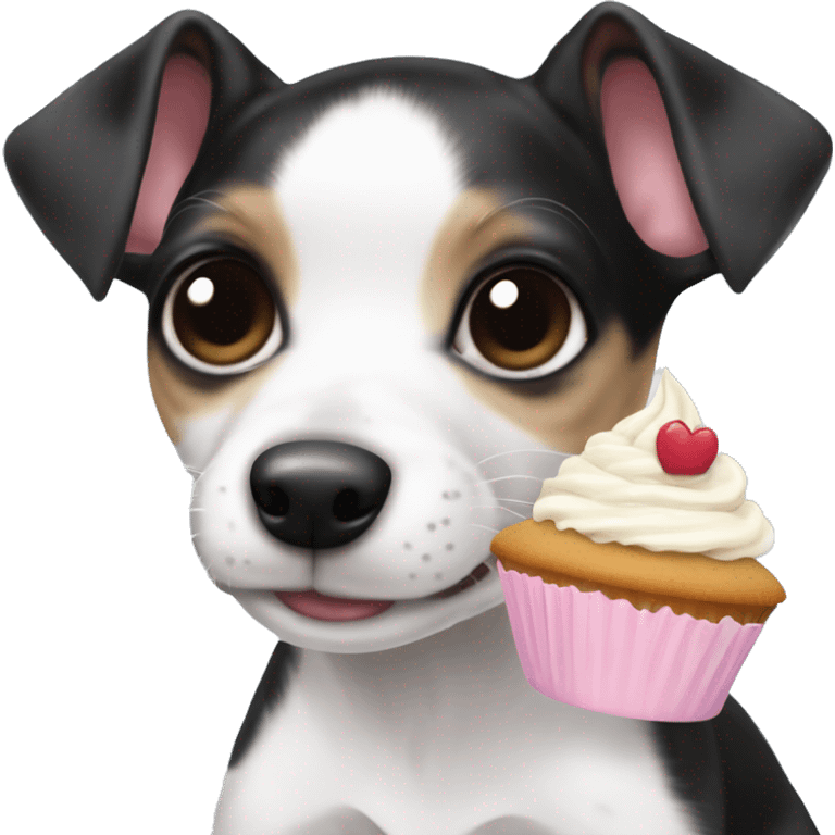 Cute big eyed Black and white rat terrier puppy (no brown) eating a cupcake emoji