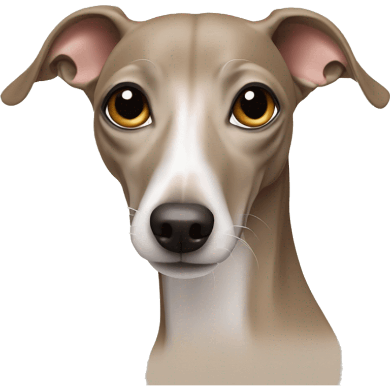 beige italian greyhound emoji