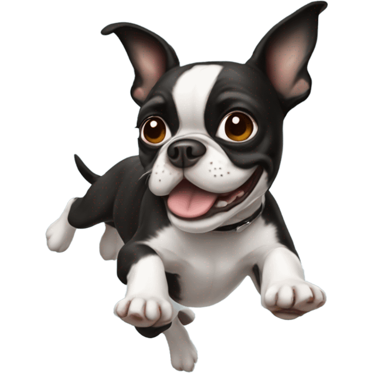 Boston terrier flying emoji