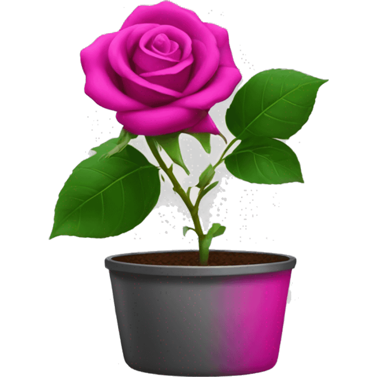 A rose in a pot, fuchsia colour emoji