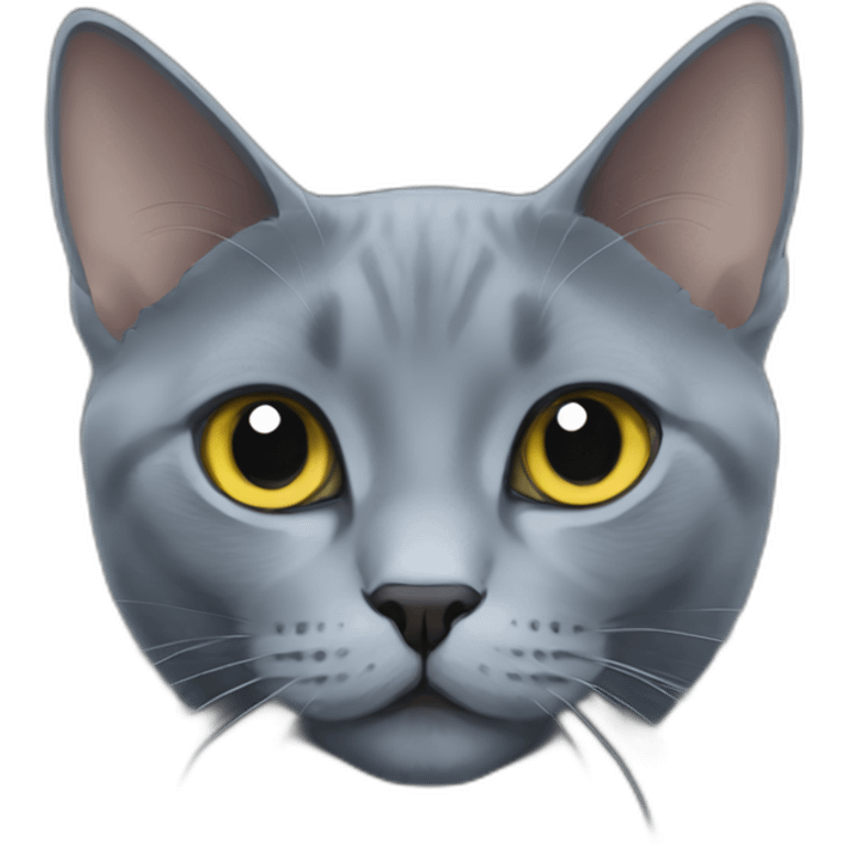 Russian blue cat cute emoji