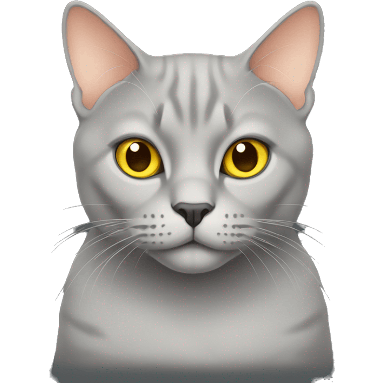 British cat color gray peach with yellow eyes emoji