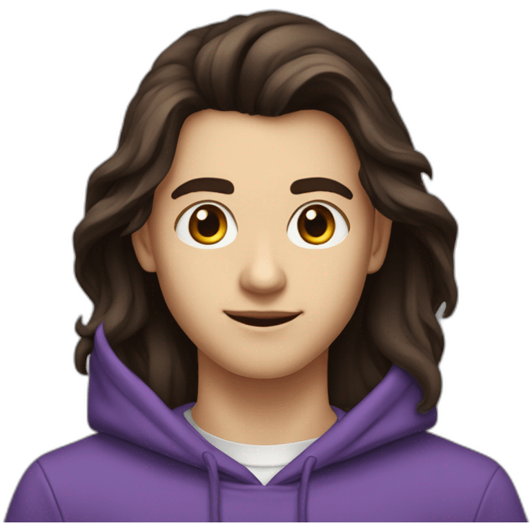 Kirill-dark-hair-programmer-16-yo-violet-hoodie-brown-eyes emoji