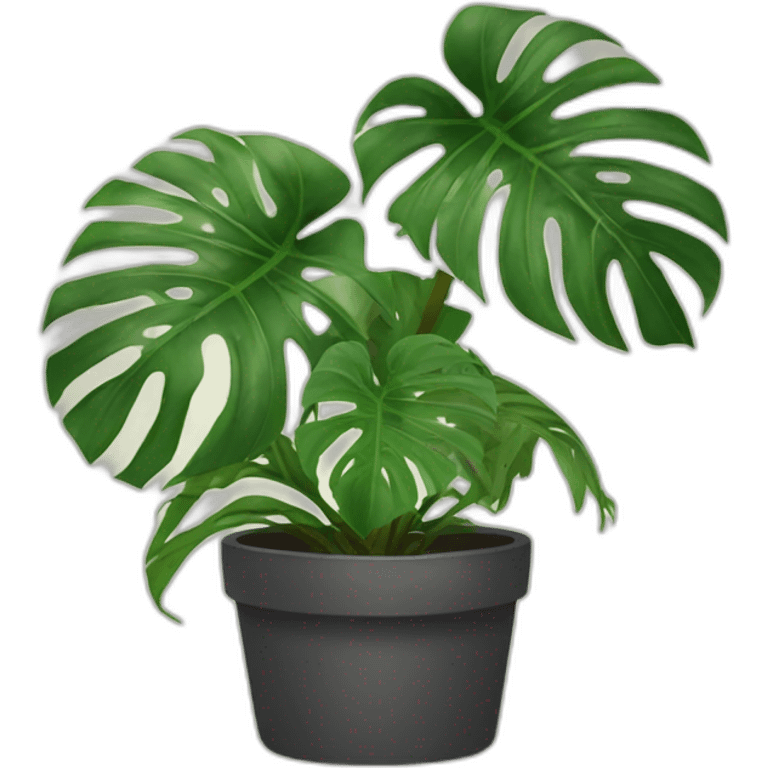 Monstera emoji