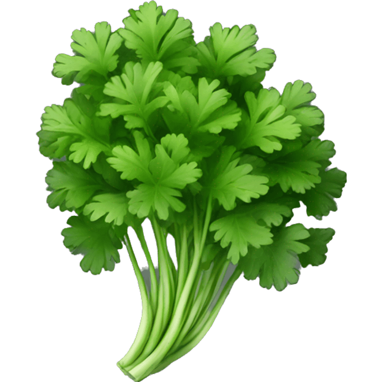 Cilantro with black background emoji