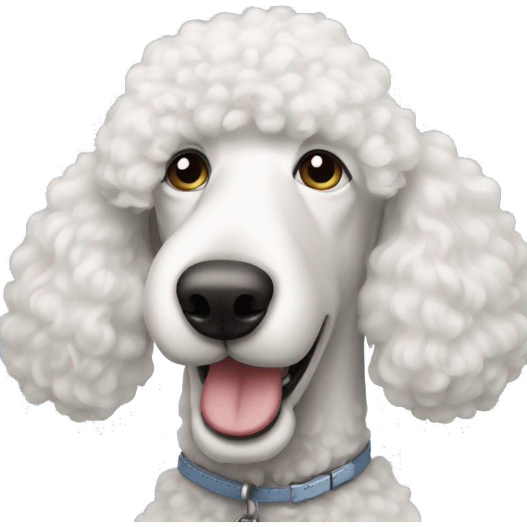 White standard poodle  emoji