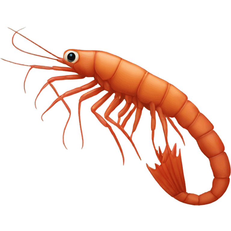 Christmas shrimp emoji