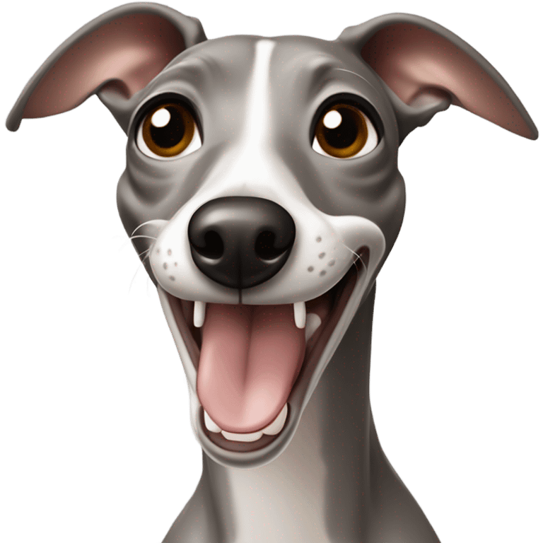 Grey and beige italian greyhound laughing  emoji