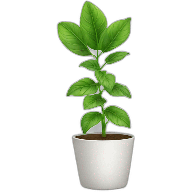 plant in white pot emoji